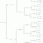 GSP Championship Pedigree